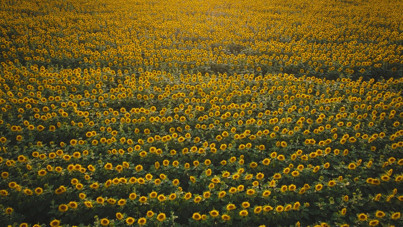 Son tarihi hatırlatıp uyardı: Bizi daha tehlikeli günler bekliyor