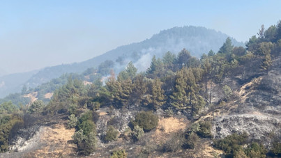 Denizli'de başladı, Aydın'a sıçradı: Üç gündür yanıyor