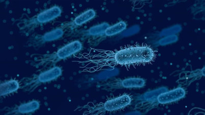 E.coli salgını 8 kişiyi öldürdü