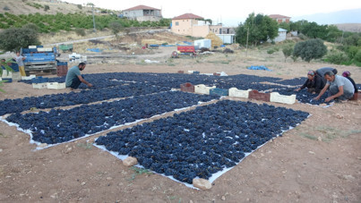 Güneşte 48 saat bekletip kilosunu 500 liraya satıyorlar