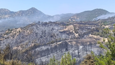 Ot temizlemek isterken ormanı yaktılar