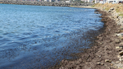 Poyraz fırtınası sonrası sahil kırmızıya büründü