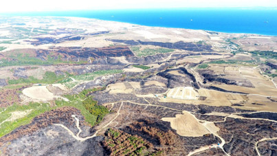 Tekirdağ Şarköy’de orman yangını sonrası temizlik başladı