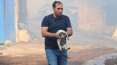 Alevlerin arasına dalıp kediyi kurtardı