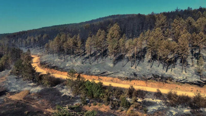 Karabük'teki orman yangınından geriye acı manzara kaldı