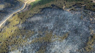 Karabük yangınından geriye yürek yakan görüntüler kaldı