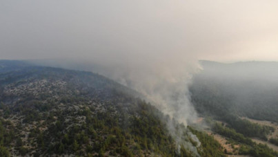 Kastamonu'da yangınlarla mücadele devam ediyor