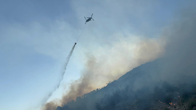Aydın Söke’de çıkan orman yangını 50 hektarı yok etti