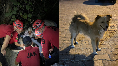 Hayvan sevgisi hayatını kurtardı