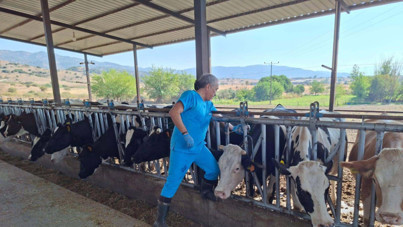 Aydın’da şap alarmı: 27 mahalle karantinaya alındı