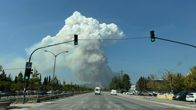 Bursa'da orman yangını