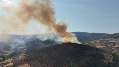 Tokat'ta orman yangını! Dumanlar kilometrelerce uzaktan görülürdü