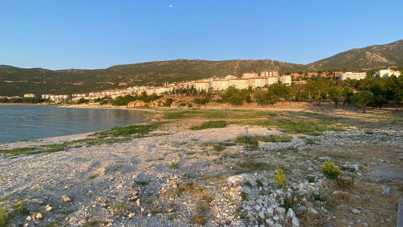 Eğirdir Gölü’nde ekolojik yıkım: Sazlıkların kesilmesine tepki