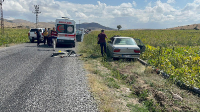 İki kardeşe kanlı pusu