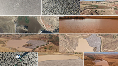 Tamamen kurumuştu, yeniden hayat buldu