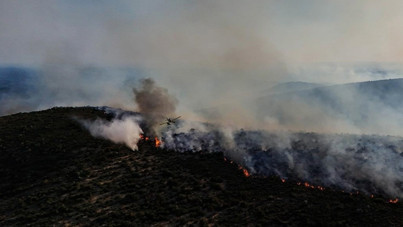 İzmir'de 8 ayda 11 bin 564 yangın çıktı