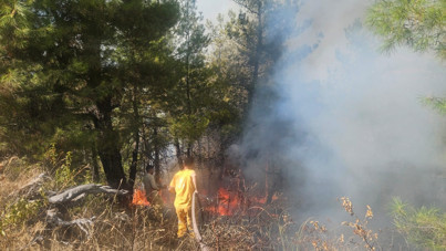Denizli'de orman yangını