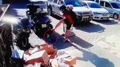 Kediye tekme attı, tutuklandı