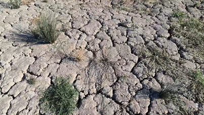 Meteoroloji’den çarpıcı rapor: Yağışlar 52 yılın en düşük seviyesinde