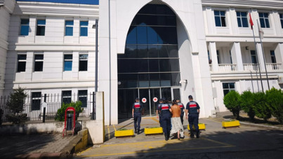 Fındık hırsızları tutuklandı