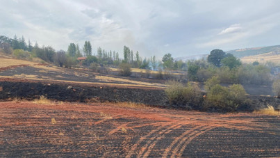 60 dönüm arazi yandı