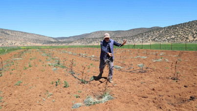 Türkiye 22 yılda 2,5 milyon hektar tarım arazisi kaybetti
