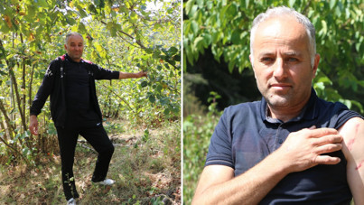 Az daha babasıyla aynı kaderi paylaşacaktı