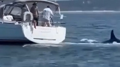 Denizde dehşet: Yatı üç darbede batırdı