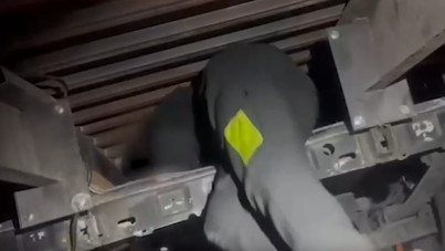 Çekicideki gizli bölmeden göçmenler çıktı