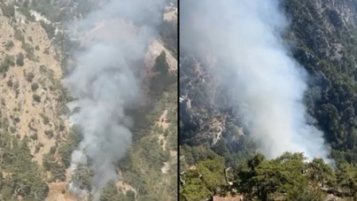 Muğla'da orman yangını