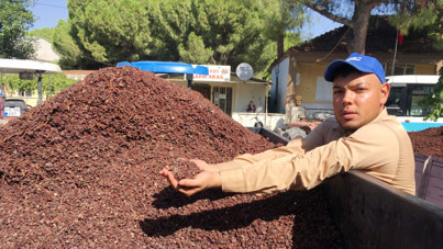 Kuru üzüm yılda 546,5 milyon dolar kazandırdı