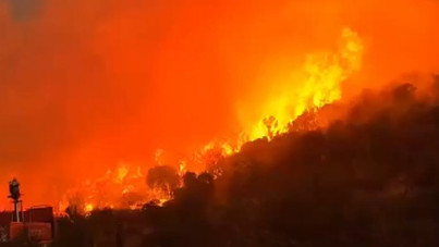 Balıkesir'de orman yangını