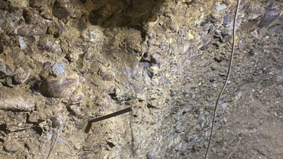 Define avcısı anne oğul yakalandı