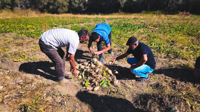 İsyan etti: En az 4 - 5 bin TL olmalı