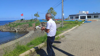 Martının hayatını kurtardı