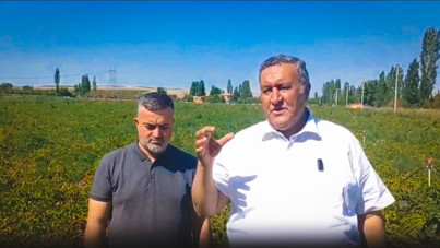 Tepki büyük: 21. Madde'yi uygulayın