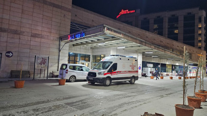 Ağaçtan düşüp öldü