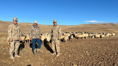 Kayıp 300 koyunu İHA buldu