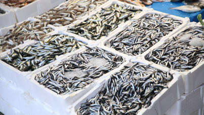Trabzon'da hamsi ve istavrit aynı fiyat