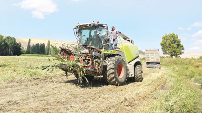 CHP'li isim Sayıştay tespitlerini sıraladı: Seyirci kalmayacağız