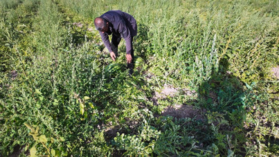 Zarar etmekten son anda kurtuldu: Diğerleri 2 TL'ye satmak zorunda kaldı