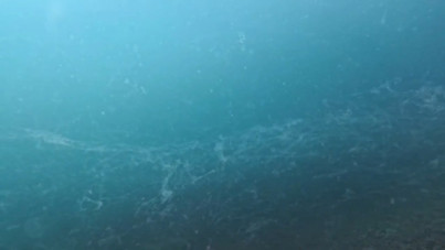 Prof. Dr. Mustafa Sarı'dan müsilaj mesajı: 'İşin şakası kalmadı'