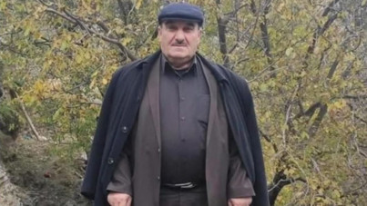 Ceviz silkelerken ağaçtan düşen eski muhtar öldü