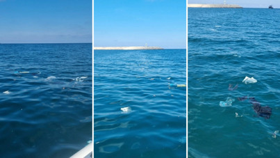 Amasra’da deniz yüzeyinde kirlilik: Sahil Güvenlik inceleme başlattı