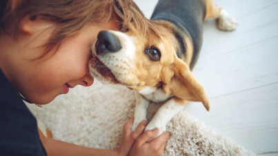 Bilimsel araştırma: Köpeklerle büyüyen çocuklar daha sağlıklı