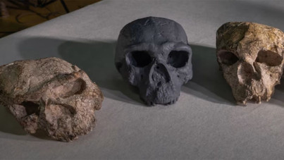 Ezber bozan araştırma: 1 milyon yıllık kafatası insanlık tarihini yeniden yazabilir