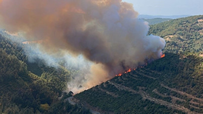 Araç kaza yaptı, orman yangını çıktı