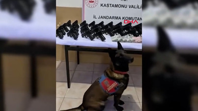 Kastamonu'da silah kaçakçılığı operasyonu: 2 tutuklama