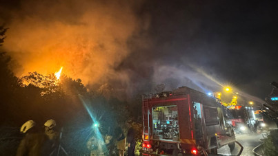 Beykoz'da orman yangını