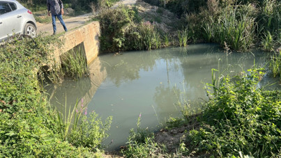 Fabrika atıkları kanalı zehirledi: Balıklar öldü, tarlalar kurudu